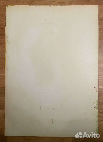 Картина, М.Павленин