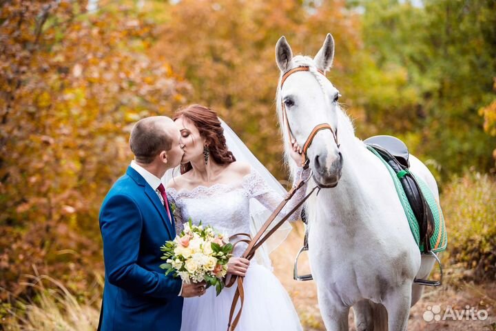 Верховые, романтические прогулки на лошадях и пони