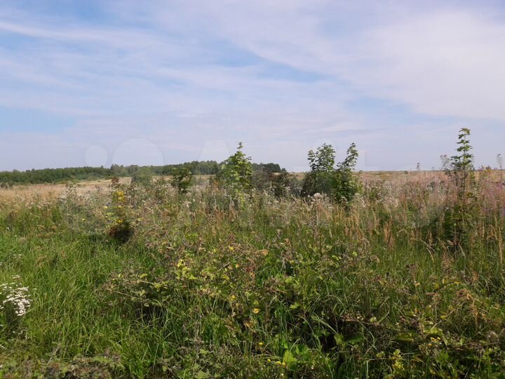 Участок 23,6 га (СНТ, ДНП)