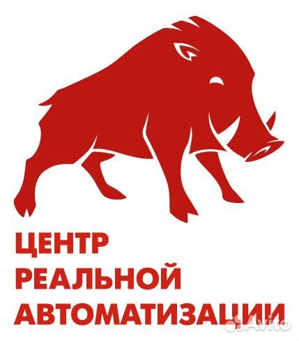 Программист 1С Калуга, обновление и услуги 1С