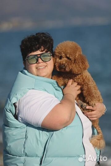 Передержка собак Индивидуальная