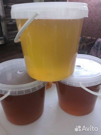 Мёд, мед урожай 2022 года