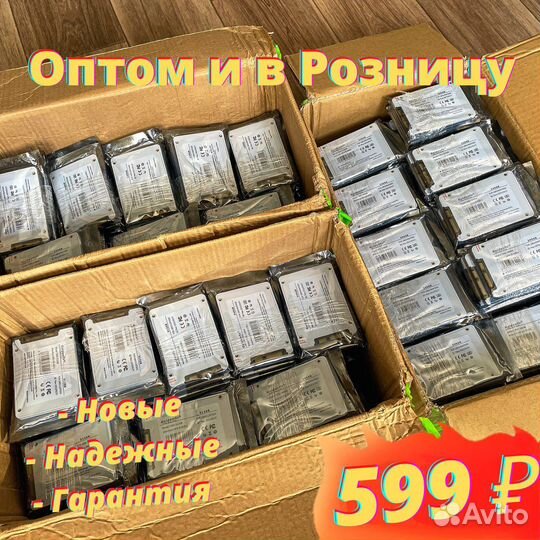 SSD Диск (Оптом и в Розницу)