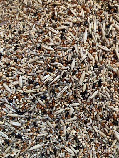 Корма для всех видов попугаев, канареек