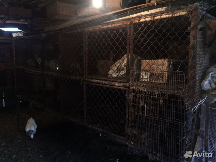 Клетки для нутрий, кроликов, кур