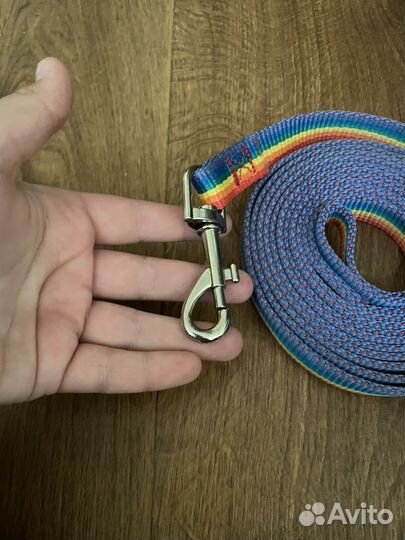 Амуниция для собак