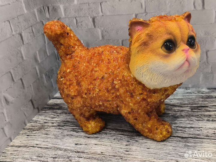 Котик в янтаре