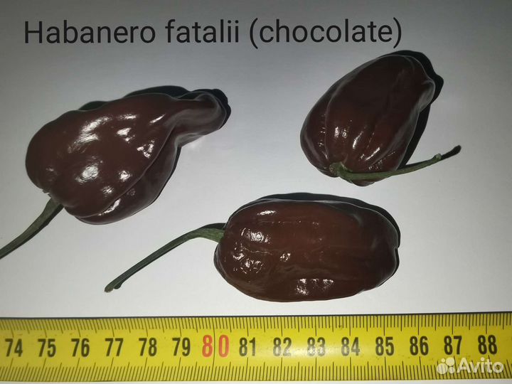 Семена суперхотов Carolina Reaper и другие