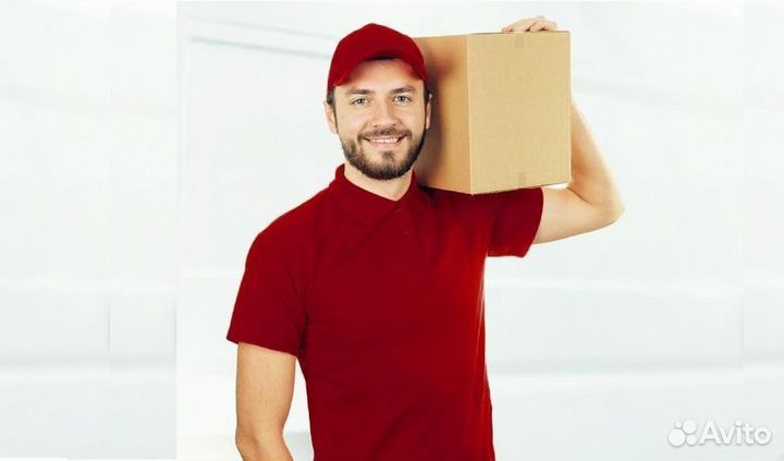 Грузчик с ежедневной оплатой