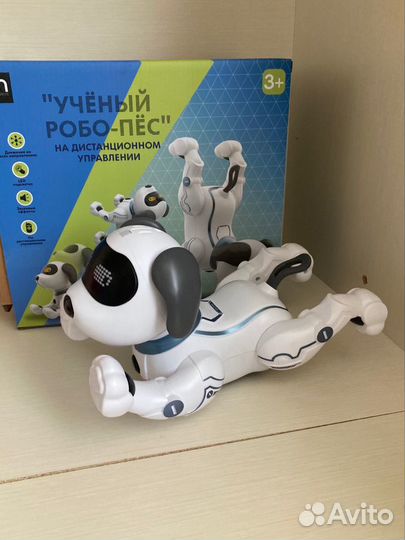 Ученый робо-пёс