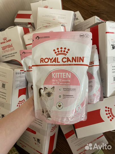 Royal canin для котят kitten