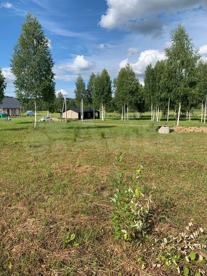 Участок 15 сот. (СНТ, ДНП)