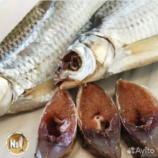 Вобла вяленая из Астрахани