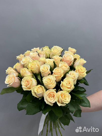 Букеты из белой розы 25,31,51 шт без посредников