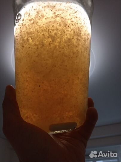 Субстрат для грибов питательная среда