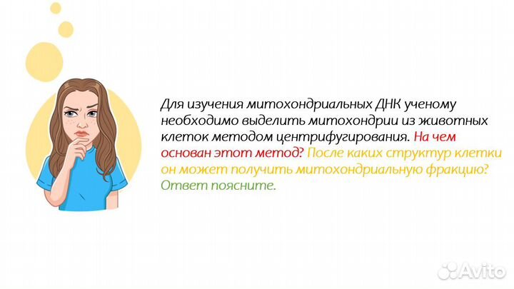 Твой репетитор по биологии егэ/огэ