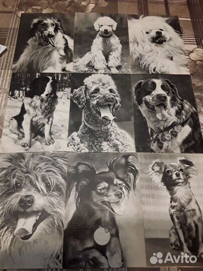 Набор открыток СССР