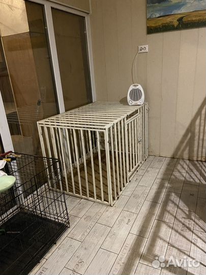 Антивандальная клетка для собак