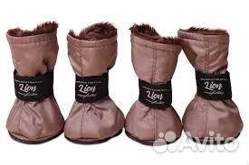 Обувь для собак