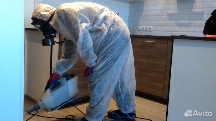 Холодный туман, обработка салона авто