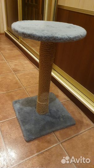 Когтеточка