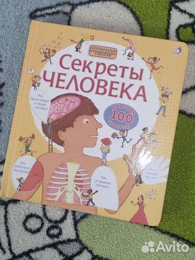 Секреты человека книга с окошками