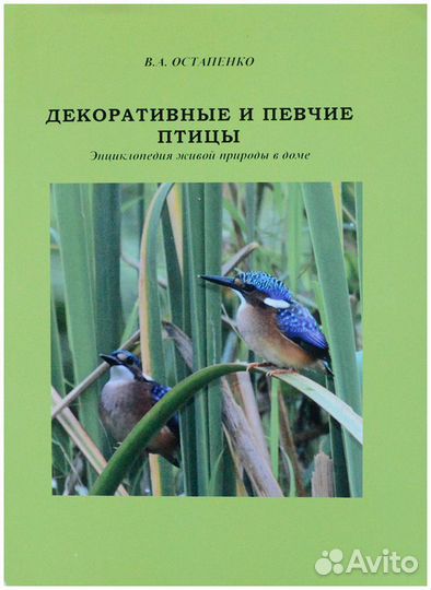 Остапенко. Декоративные и певчие птицы