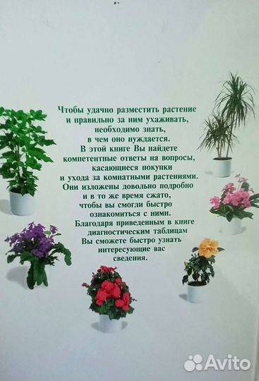 Книги на каждый день