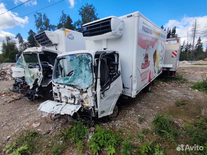 Isuzu Elf (N-series), 2019