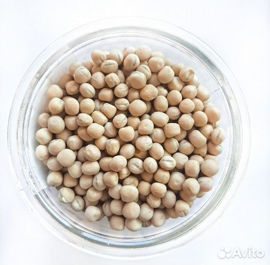 Семена гороха