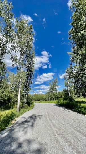 Участок 6 сот. (СНТ, ДНП)