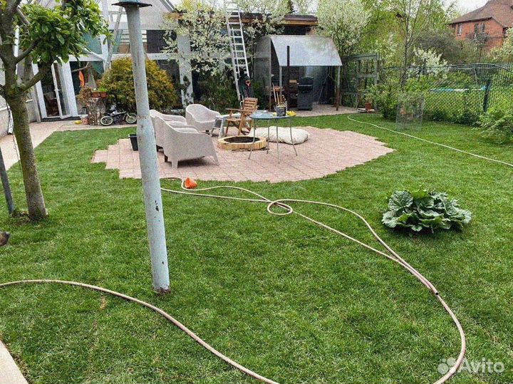 Рулонный газон 