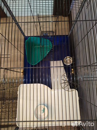 Клетка для грызунов песчанок, дегу, крыс, хомяков