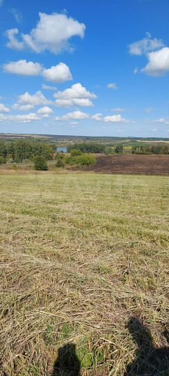 Участок 15 га (ИЖС)