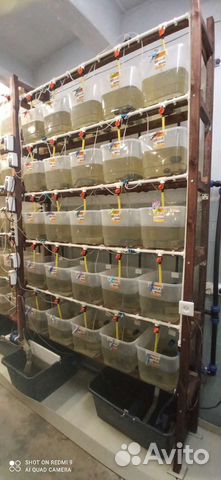 Узв для раков