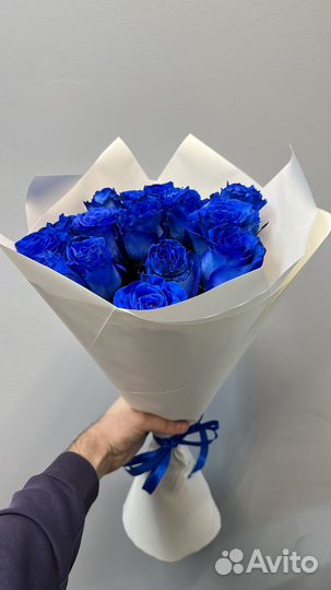 Синие розы эквадор