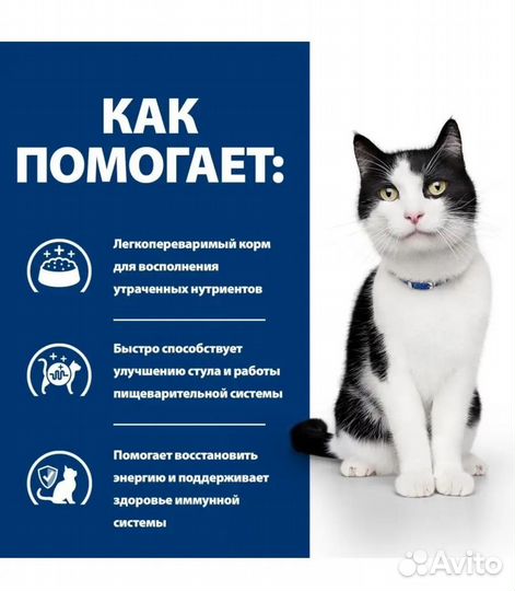 Влажный корм для кошек