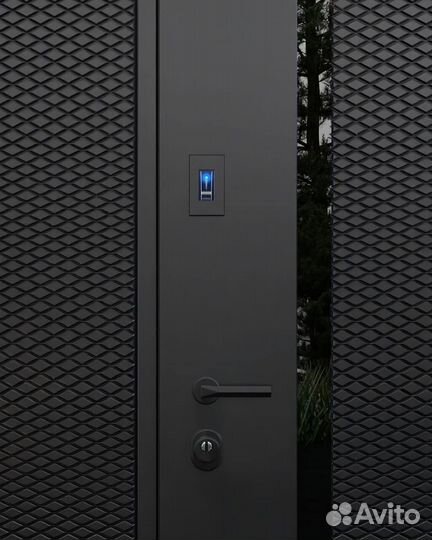 Входная дверь с монитором в стекле