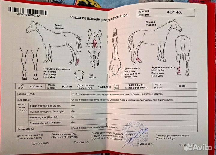 Английские лошади