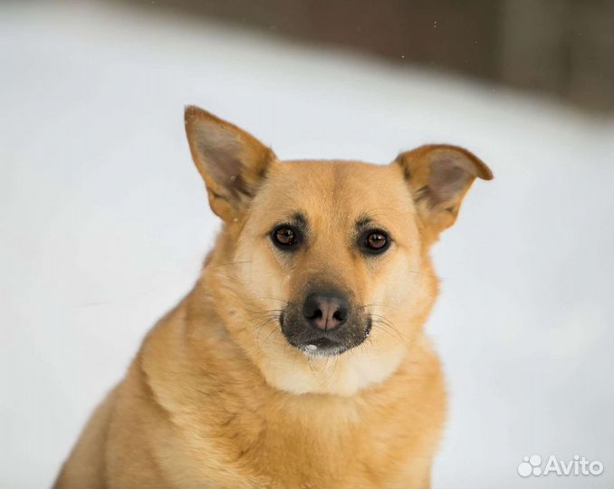 Лорочка