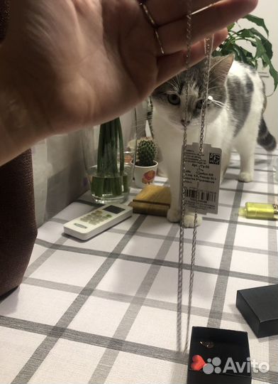 Серебряная цепочка