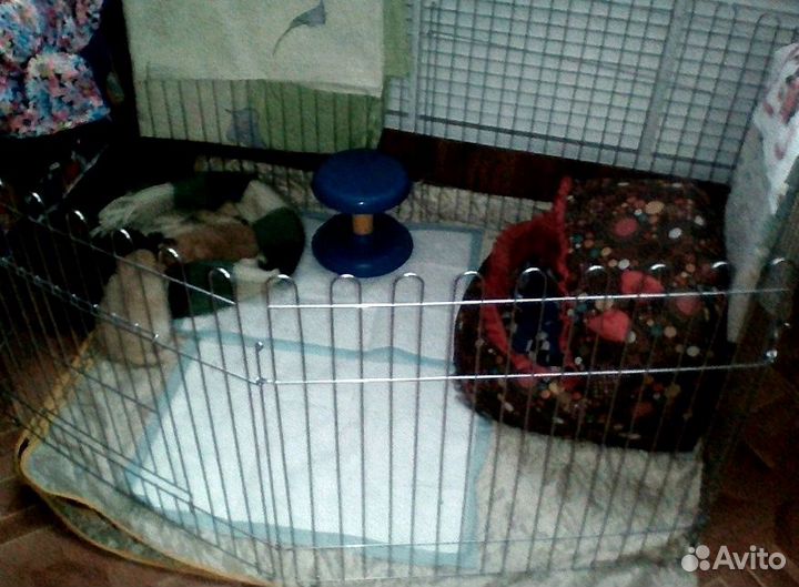 Вольер 5 секций