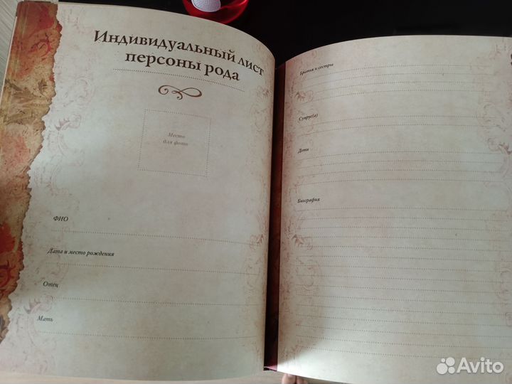 Семейное древо. Родословная книга