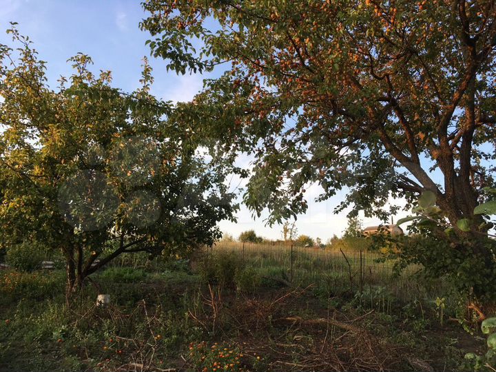 Участок 10 сот. (СНТ, ДНП)