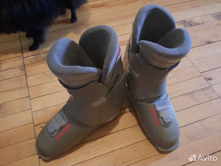 Горнолыжные ботинки