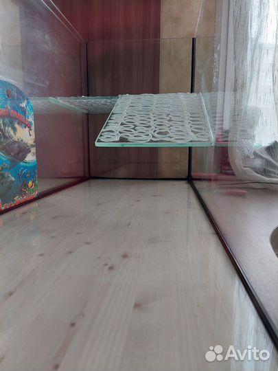 Аквариум- террариум