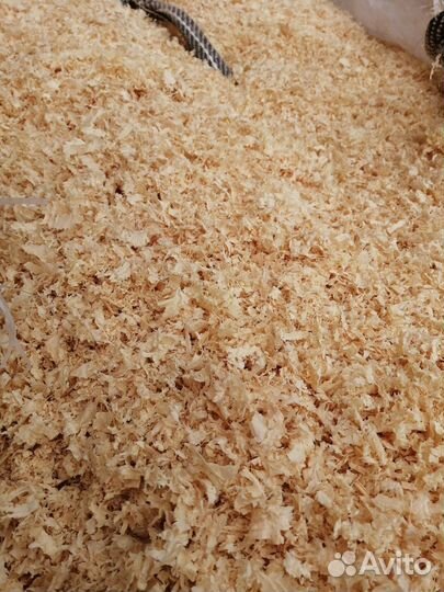 Продам опилки древесные