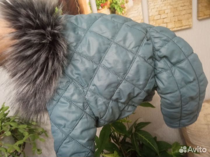 Зимний комбинезон теплый для маленьких собак