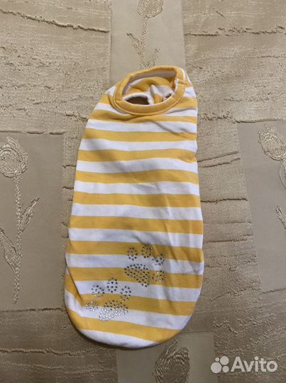 Одежда для собак мелких пород