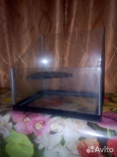 Аквариум для черепах